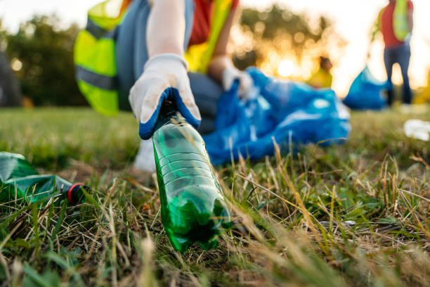 Yard Cleanup Services in Ramsey, MN